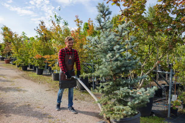 New Beaver, PA Tree Care  Company